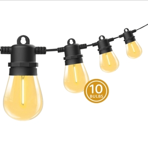 Outdoor Festoon Lights