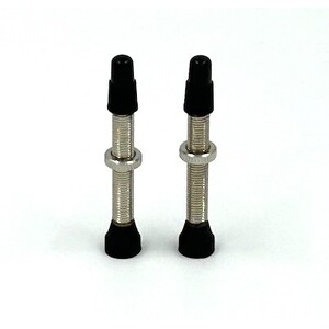 NoTubes 44mm Presta Valve Pair OEM Packaging