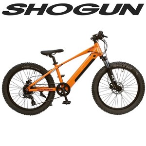eBike - Zippy 24" MTB  (Local Pick Up Only )